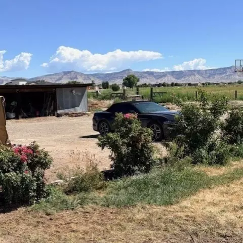 Exterior - 1130 20 Rd, Fruita, CO 81521 photo 6 of 8