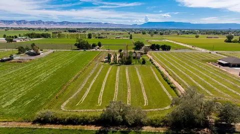 View/Area - 927 21 Rd, Fruita, CO 81521 photo 3 of 4