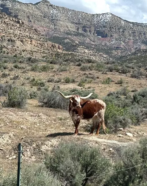 15220 45 12 Rd, De Beque, CO 81630 photo 31