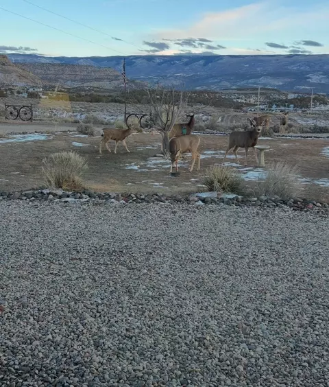 15220 45 12 Rd, De Beque, CO 81630 photo 32