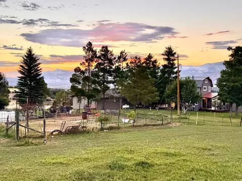 Exterior - 14385 59 12 Rd, Collbran, CO 81624 photo 6 of 11