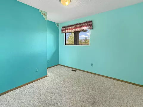 Bedroom - 12984 Eckert Estate Rd, Eckert, CO 81418 photo 1 of 3
