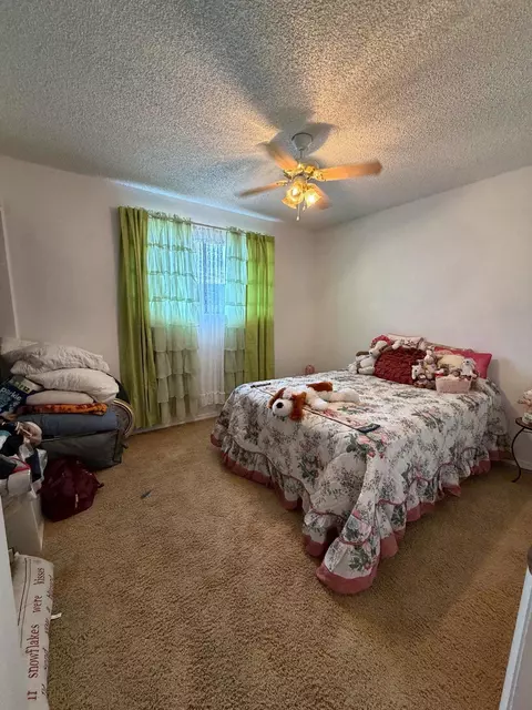 Bedroom - 22563 Oatman Rd, Eckert, CO 81418 photo 1 of 4