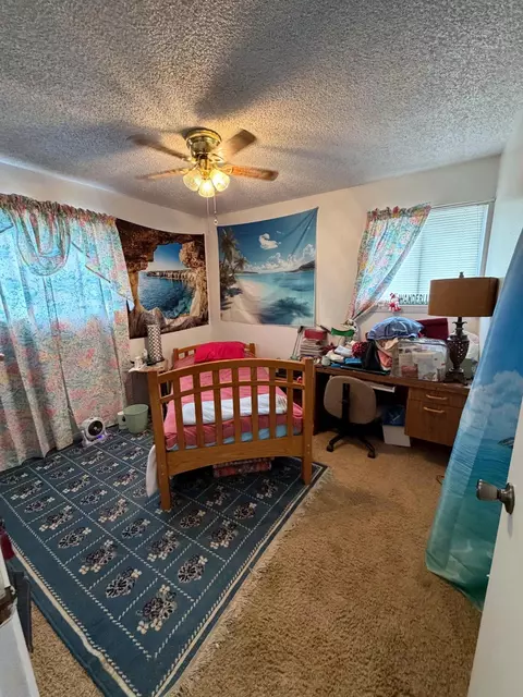 Bedroom - 22563 Oatman Rd, Eckert, CO 81418 photo 2 of 4