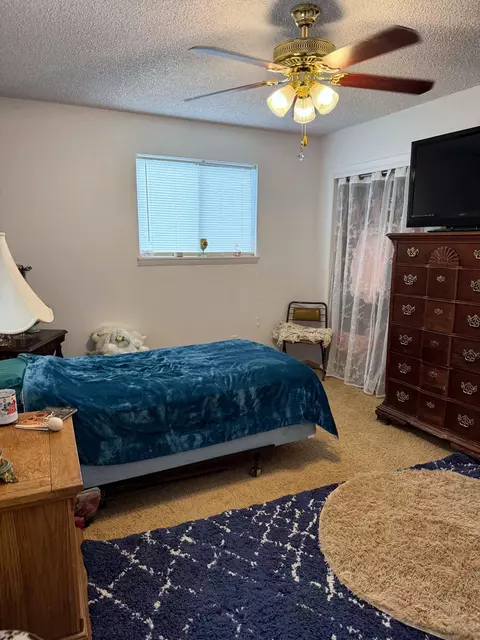 Bedroom - 22563 Oatman Rd, Eckert, CO 81418 photo 3 of 4