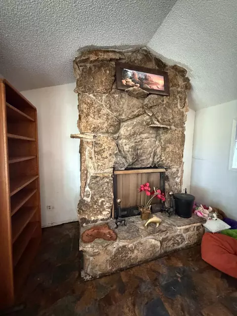 Living - 22563 Oatman Rd, Eckert, CO 81418 photo 1 of 4