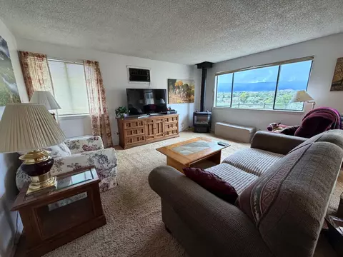 Living - 22563 Oatman Rd, Eckert, CO 81418 photo 3 of 4