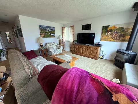 Living - 22563 Oatman Rd, Eckert, CO 81418 photo 4 of 4
