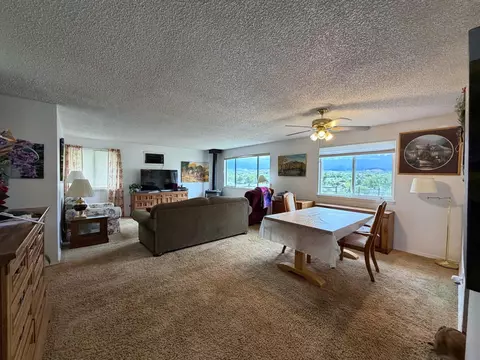 Living - 22563 Oatman Rd, Eckert, CO 81418 photo 2 of 4