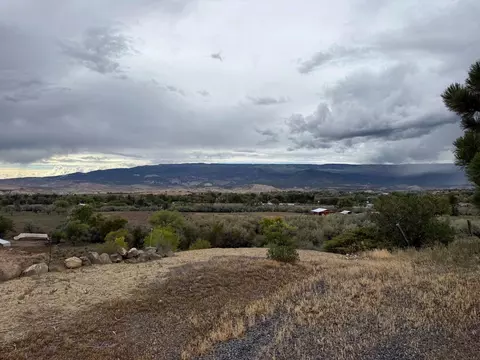 Other - 22563 Oatman Rd, Eckert, CO 81418 photo 4 of 5