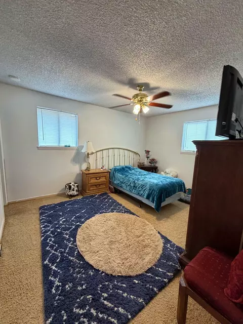 Bedroom - 22563 Oatman Rd, Eckert, CO 81418 photo 4 of 4