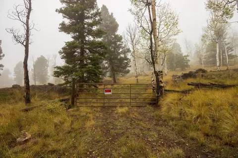 210 Kebler Trl, Powderhorn, CO 81243