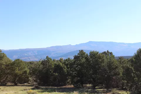 215 County Road 22a, Montrose, CO 81403