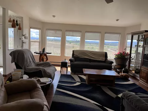 Living - 29669 Dd Rd, Nucla, CO 81424 photo 3 of 6
