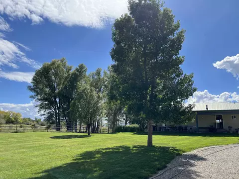 Exterior - 29669 Dd Rd, Nucla, CO 81424 photo 7 of 15
