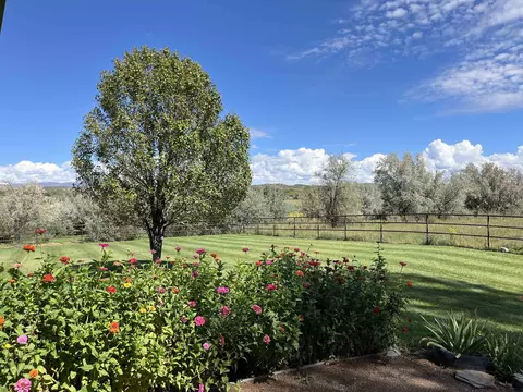 Exterior - 29669 Dd Rd, Nucla, CO 81424 photo 15 of 15