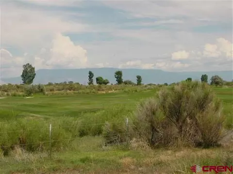 916 18 Rd, Fruita, CO 81521 photo 3