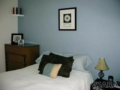 479 David Ct, Fruita, CO 81521 photo 11