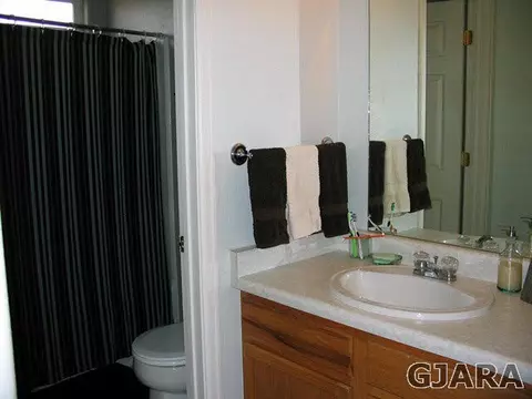 479 David Ct, Fruita, CO 81521 photo 12
