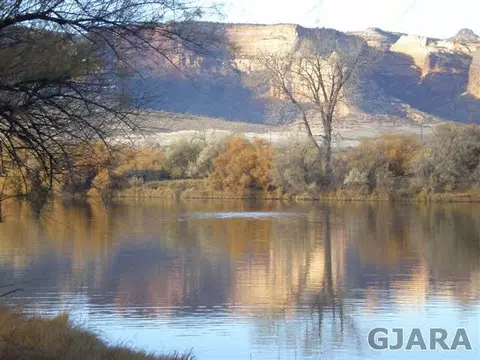 845 River Ranch Ct, Fruita, CO 81521 photo 1
