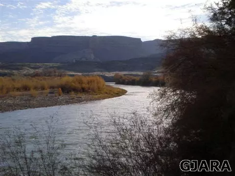 845 River Ranch Ct, Fruita, CO 81521 photo 6