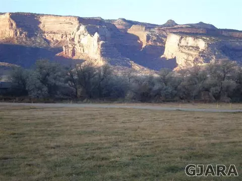 845 River Ranch Ct, Fruita, CO 81521 photo 8