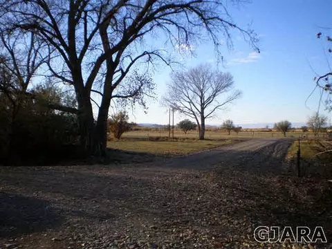 845 River Ranch Ct, Fruita, CO 81521 photo 7