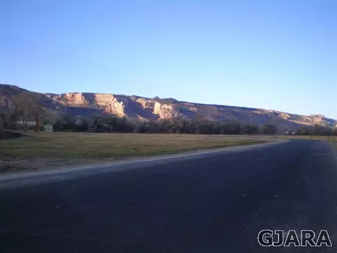 845 River Ranch Ct, Fruita, CO 81521 photo 9