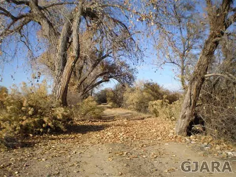 845 River Ranch Ct, Fruita, CO 81521 photo 5