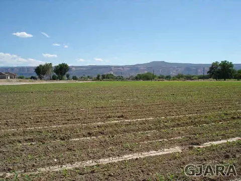 1054 21 Rd, Grand Junction, CO 81505 photo 1
