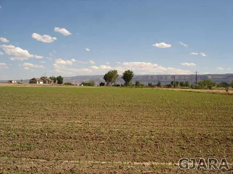 1054 21 Rd, Grand Junction, CO 81505 photo 2