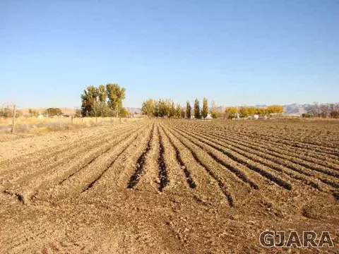 1324 17 Rd, Fruita, CO 81521 photo 6