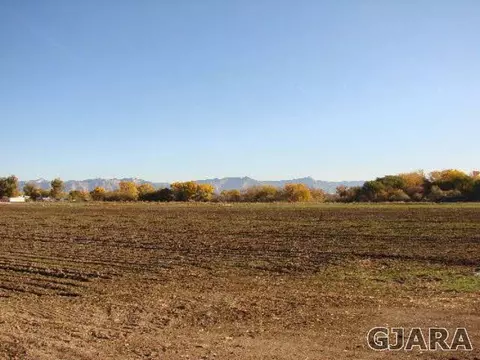 1324 17 Rd, Fruita, CO 81521 photo 2
