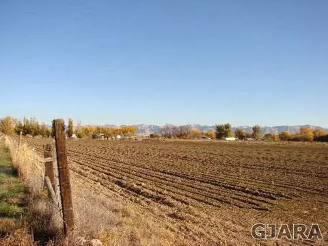 1324 17 Rd, Fruita, CO 81521 photo 3