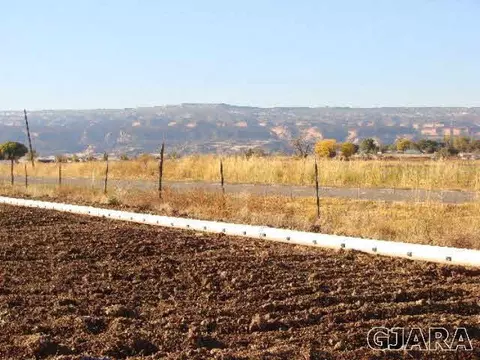 1324 17 Rd, Fruita, CO 81521 photo 7