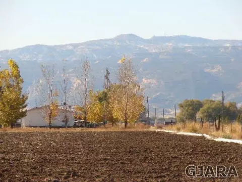 1324 17 Rd, Fruita, CO 81521 photo 1