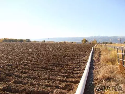 1324 17 Rd, Fruita, CO 81521 photo 4