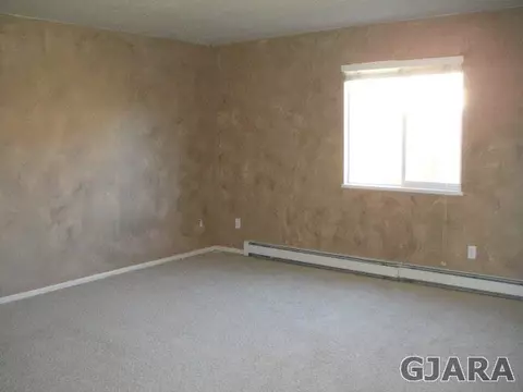 226 Narrow Leaf Dr, Fruita, CO 81521 photo 3