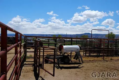 2003 Roma Ave, Fruita, CO 81521 photo 9