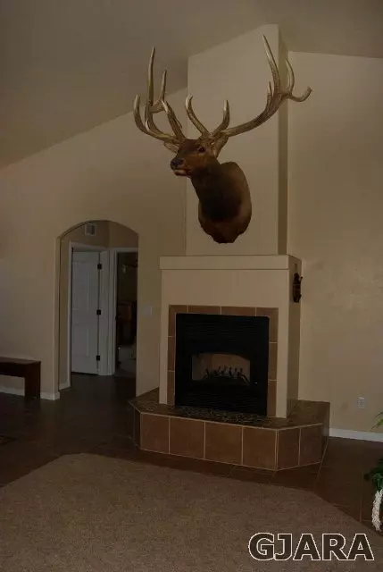 2003 Roma Ave, Fruita, CO 81521 photo 18