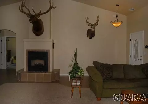2003 Roma Ave, Fruita, CO 81521 photo 13