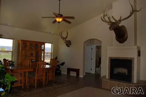 2003 Roma Ave, Fruita, CO 81521 photo 4