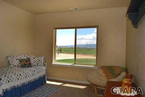 2003 Roma Ave, Fruita, CO 81521 photo 15