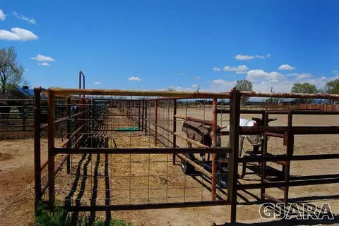 2003 Roma Ave, Fruita, CO 81521 photo 22