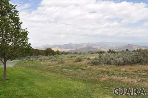 9755 48 Rd, Mesa, CO 81643 photo 18