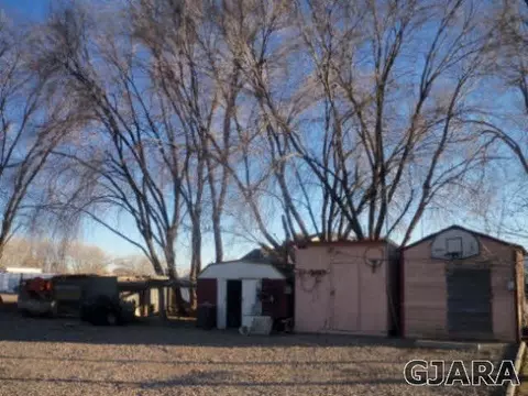 978 20 Rd, Fruita, CO 81521 photo 4