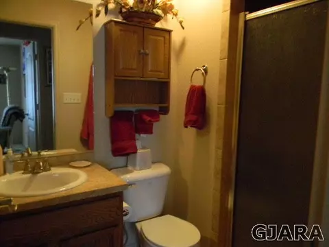803 Darcy Jo Ln, Fruita, CO 81521 photo 9