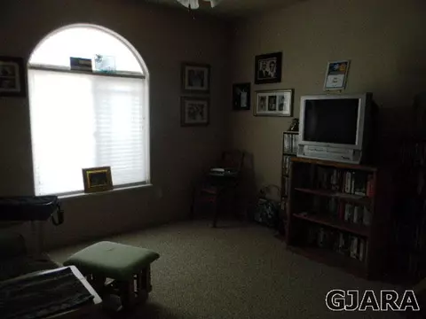 803 Darcy Jo Ln, Fruita, CO 81521 photo 7