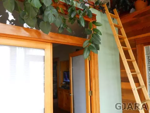 719 E Aspen Ave, Fruita, CO 81521 photo 4