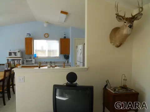 1386 Powell St, Fruita, CO 81521 photo 4